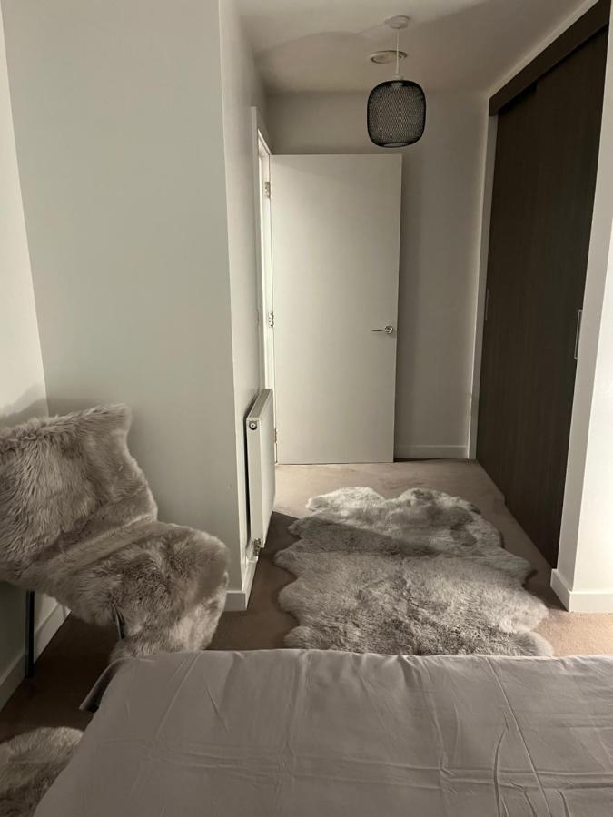 Luxurious Dlr Apartment Londýn Exteriér fotografie