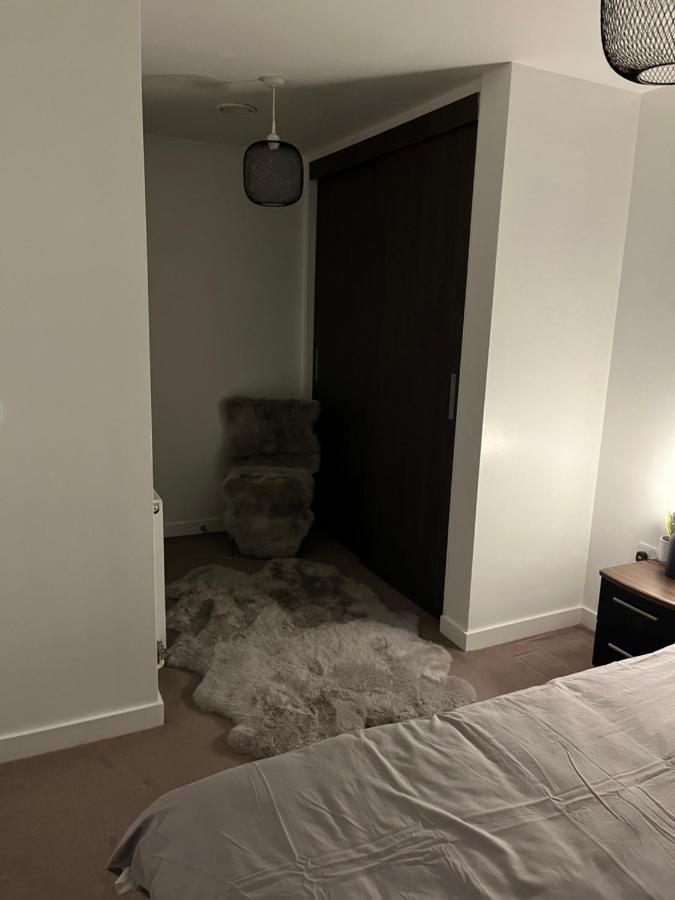 Luxurious Dlr Apartment Londýn Exteriér fotografie